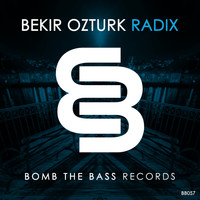 Bekir Ozturk - Radix