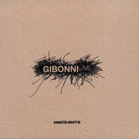 Gibonni - Acoustic:Electric