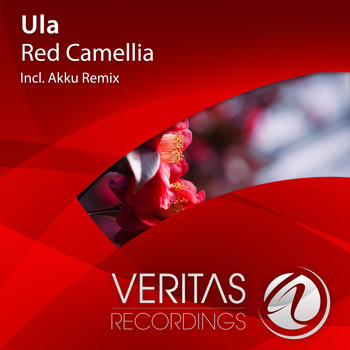 ULA - Red Camellia