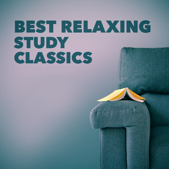Calm Music for Studying|Relaxation Study Music|Study Music - Best Relaxing Study Classics