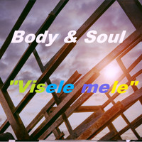 Body & Soul - Visele Mele (Radio Edit)