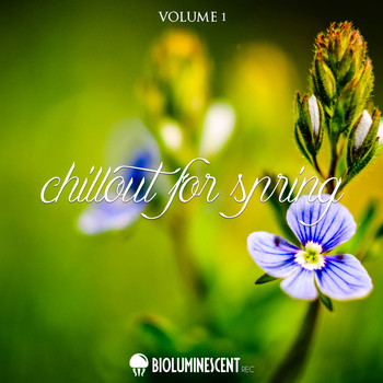 Various Artists - Chillout for Spring