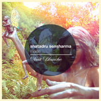 Shatadru Sensharma - Merlin