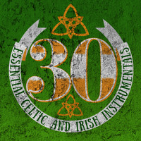 Celtic Irish Club|Instrumental Irish & Celtic|Irish Celtic Music - 30 Essential Celtic and Irish Instrumentals