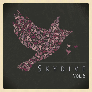 Various Artists - Skydive, Vol. 06