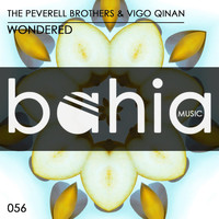 The Peverell Brothers & Vigo Qinan - Wondered