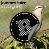 Jommes Tatze - Mockingbird