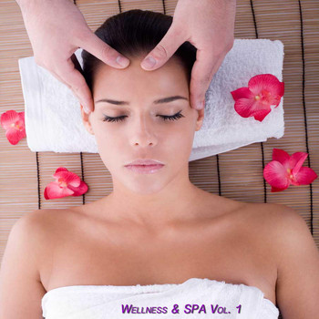 Various Artists - Wellness & Spa, Vol. 1 (Relax Your Mind)