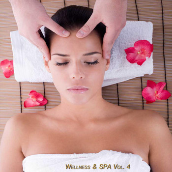 Various Artists - Wellness & Spa, Vol. 4 (Relax Your Mind)
