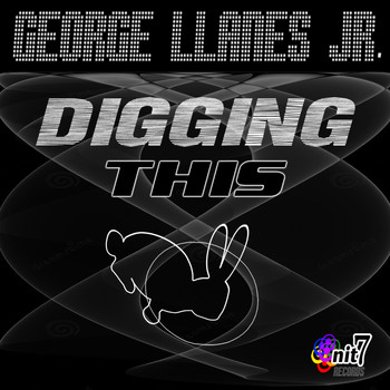 George Llanes Jr. - Digging This