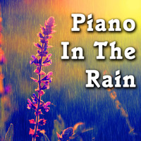 Master Wu - Piano in the Rain