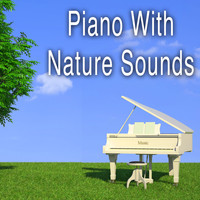 Wildlife Bill - Piano with Nature Sounds