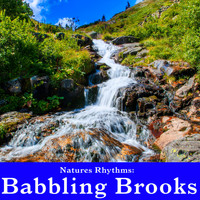 Wildlife Bill - Natures Rhythms: Babbling Brook
