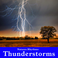 Wildlife Bill - Natures Rhythms: Thunderstorms
