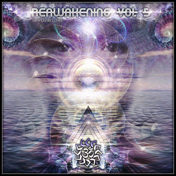 Various Artists - Reawakening, Vol. 5