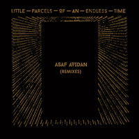 Asaf Avidan - Little Parcels Of An Endless Time Remixes