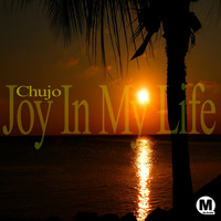 Chujo - Joy In My Life