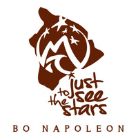 Bo Napoleon - Just to See the Stars