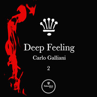 Carlo Galliani - Deep Feeling, Vol. 2