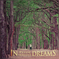 Peter Hollens - In Dreams
