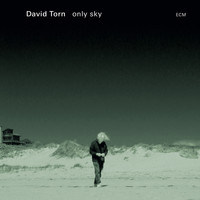 David Torn - Only Sky