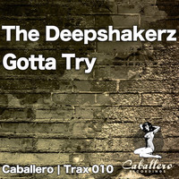 The Deepshakerz - Gotta Try