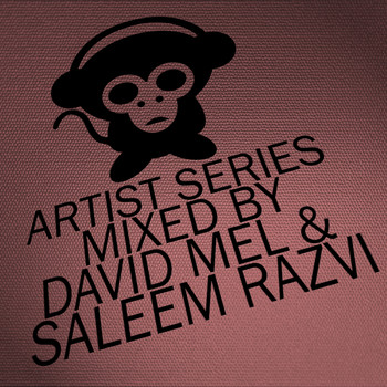 Various Artists - Housepital Artist Series, Vol. 9 Mixed By David Mel & Saleem Razvi