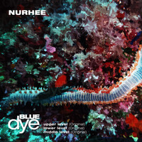 Nurhee - Upper Level / Lower Level /Middle Level