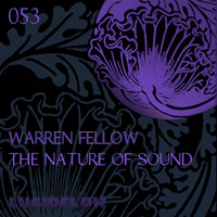 Warren Fellow - The Nature of Sound
