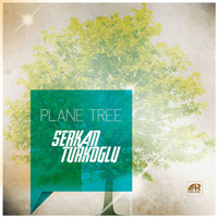Serkan Turkoglu - Plane Tree