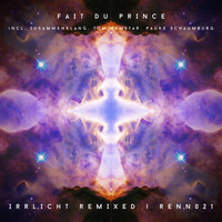 Fait Du Prince - Irrlicht Remixed