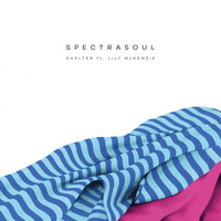 Spectrasoul - Shelter