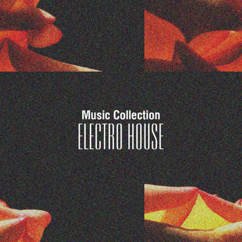 Various Artists - Music Collection. Electro House, Vol. 1