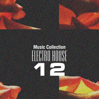 Elefant Man - Music Collection. Electro House, Vol. 12