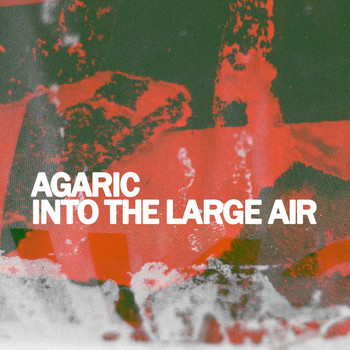 Agaric - Into the Large Air