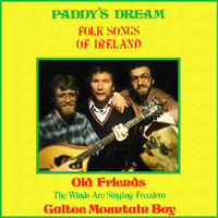 Paddy's Dream - Folk Songs of Ireland