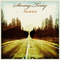 Sonny Terry - Crow Jane Blues