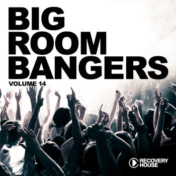 Various Artists - Big Room Bangers, Vol. 14