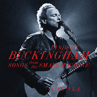 Lindsey Buckingham - Songs From The Small Machine - Live In L.A. (Live At Saban Theatre In Beverly Hills, CA / 2011)