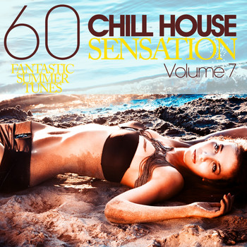 Various Artists - Chill House Sensation Vol. 7 (60 Fantastic Summer Tunes)