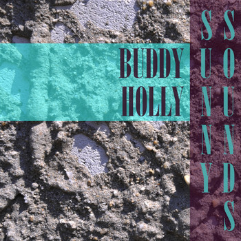 Buddy Holly - Sunny Sounds