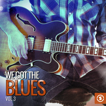 Various Artists - We Got the Blues, Vol. 3