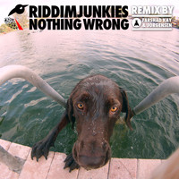 Riddimjunkies - Nothing Wrong