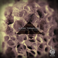 Bjoern Torwellen - Shapeshifter - The Remixes