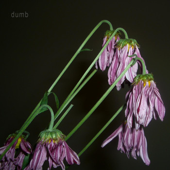 Dumb - Flowers Hang Their Heads