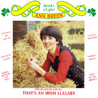 Ann Breen - Irish Style
