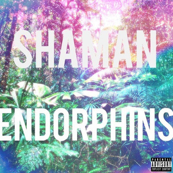Shaman - Endorphins