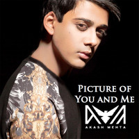 Akash Mehta - Picture of You and Me