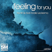 Wonfri Six - Feeling for You