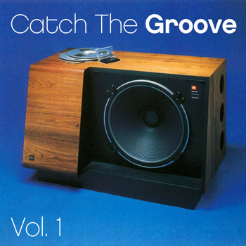 Various Artists - Catch the Groove - Vol. 1